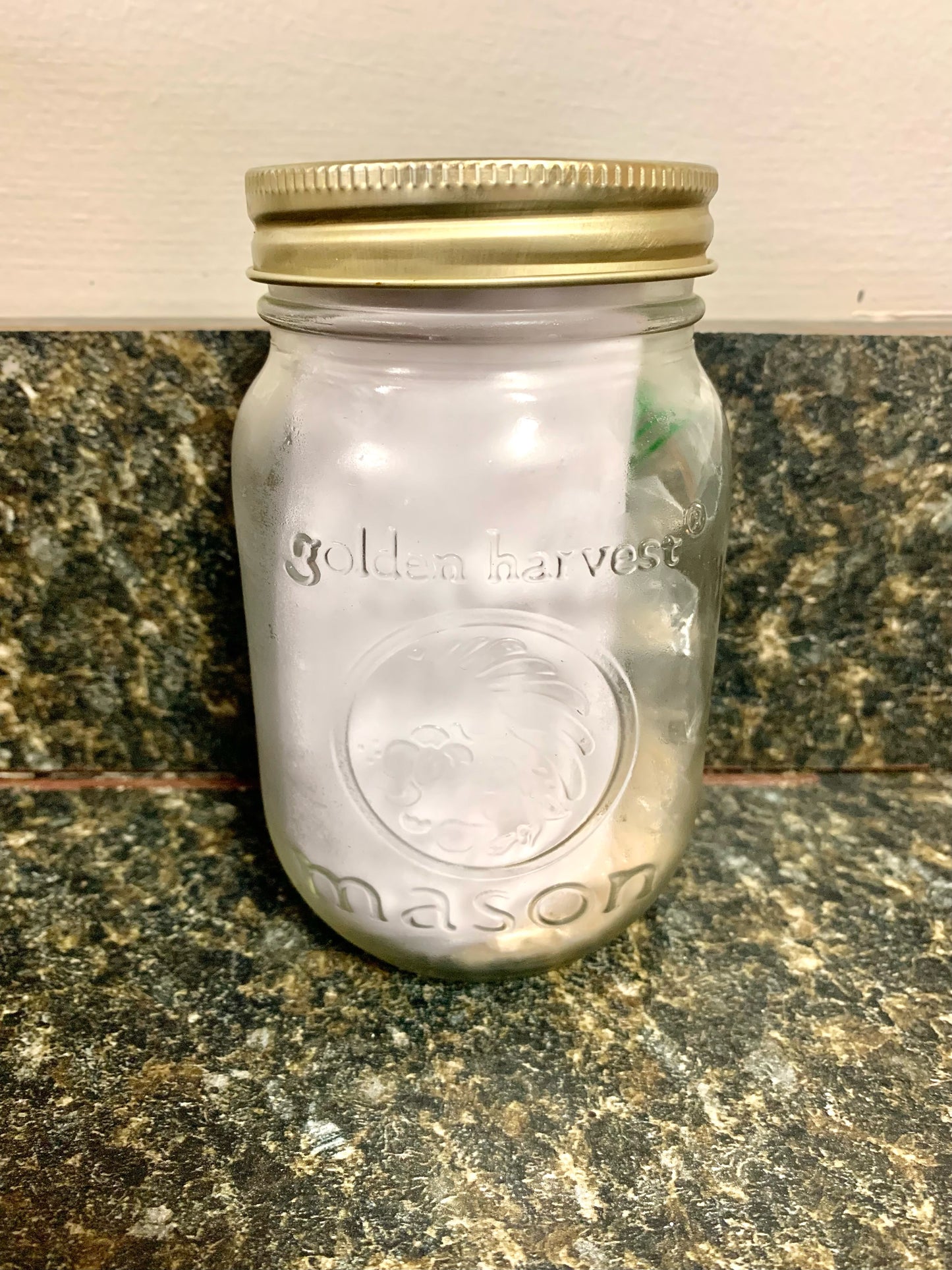 Sourdough Starter